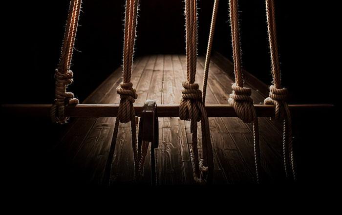 immagine decorativa